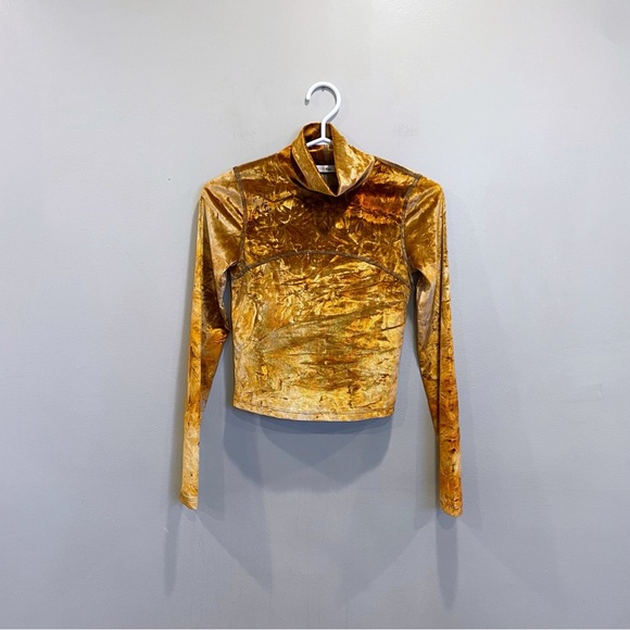 Aritzia Tops - Wilfred Free Moon Turtleneck